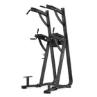 SHUA Chin Dip Leg Raise Station