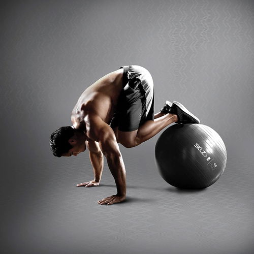 SKLZ Stability Ball Pro - 65cm