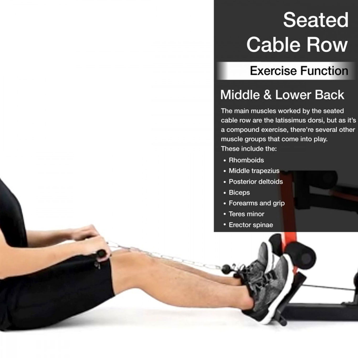 سبارنود للياقة البدنية SMG-15000 صالة ألعاب رياضية متعددة ثلاث محطات 