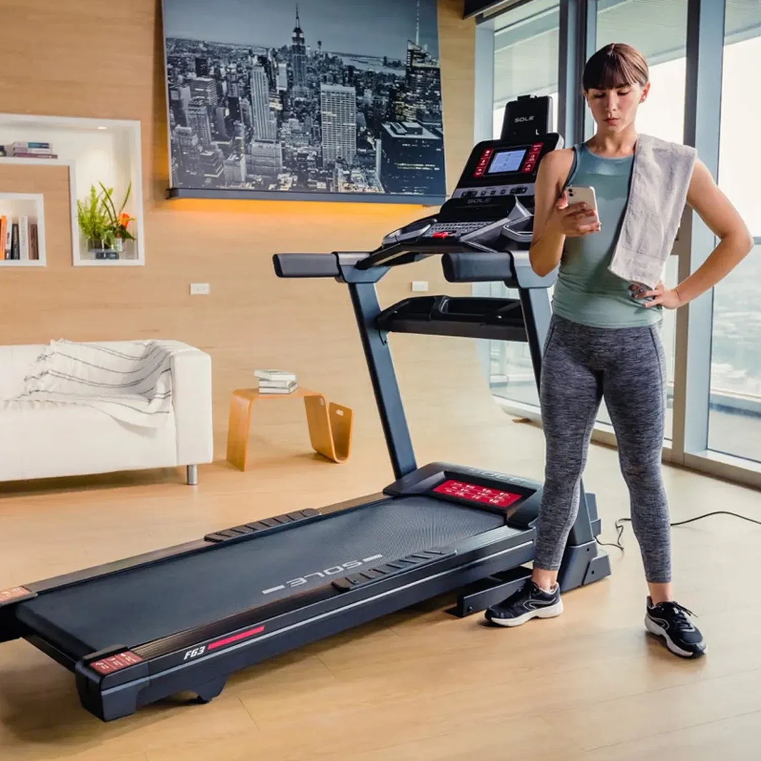 Sole Fitness F63 Treadmill