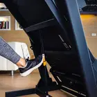 Sole Fitness F63 Treadmill