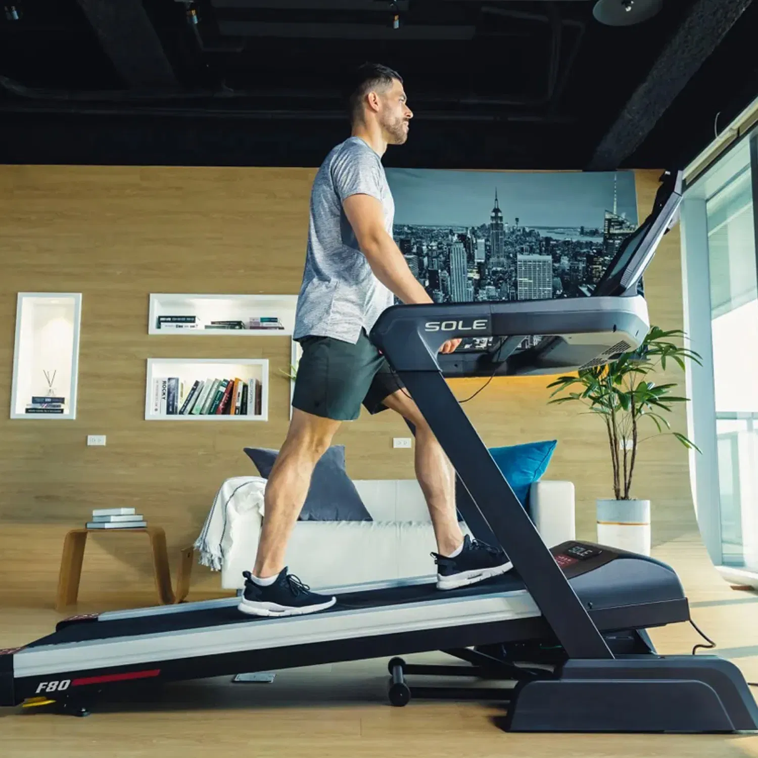 Sole Fitness F80 Treadmill