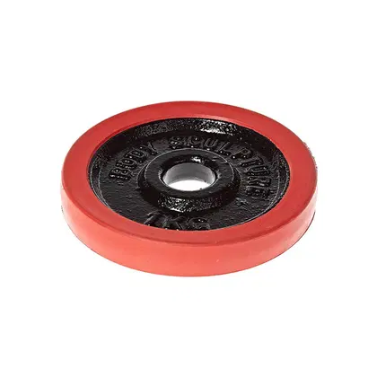 Body Sculpture Rubber Weight Plate 1Inch Dia - 1 Kg - Single