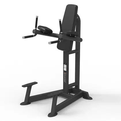 Spirit Fitness Knee Lifting Machine