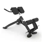 Spirit Fitness Roman Machine / Back Extension