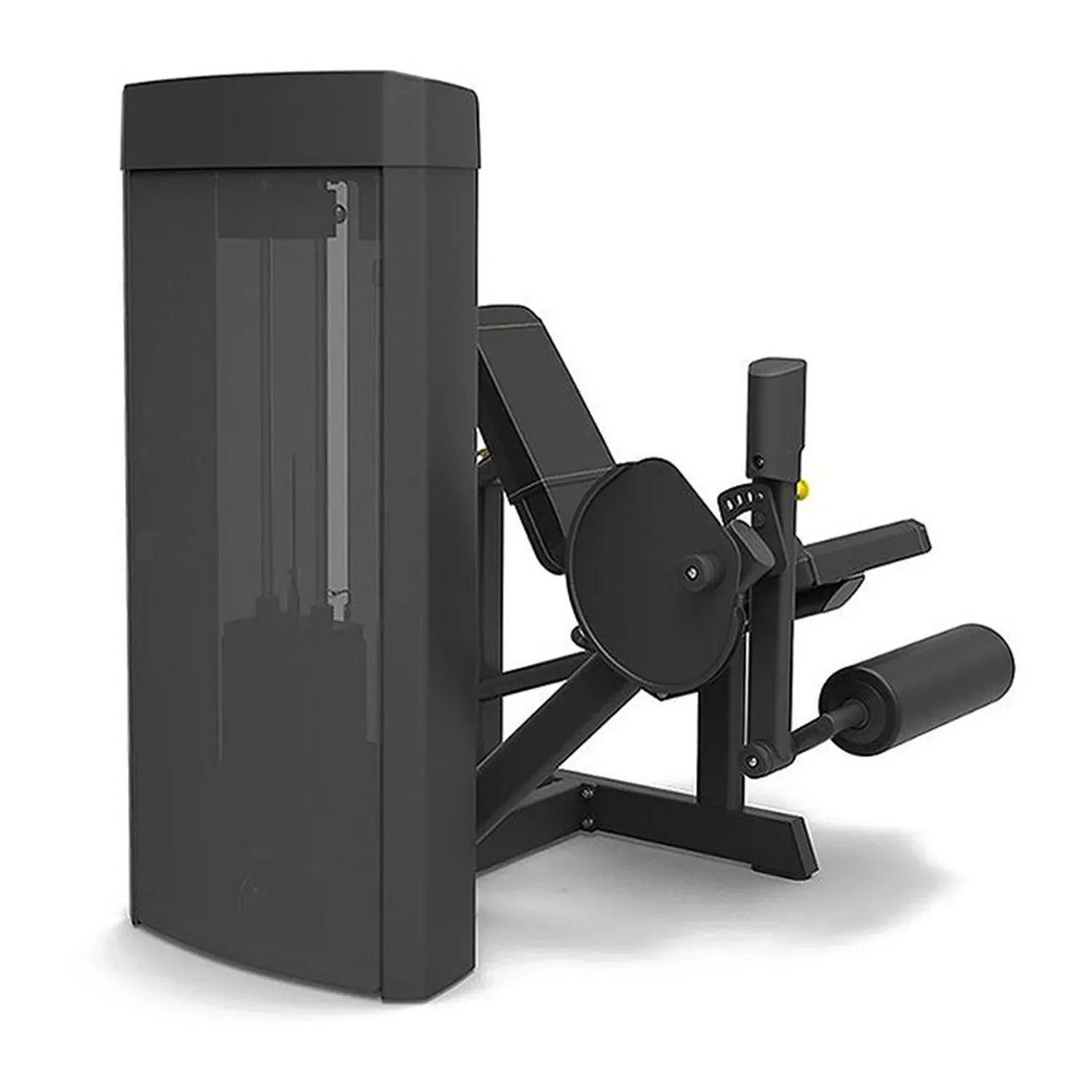 Spirit Fitness Leg Extension