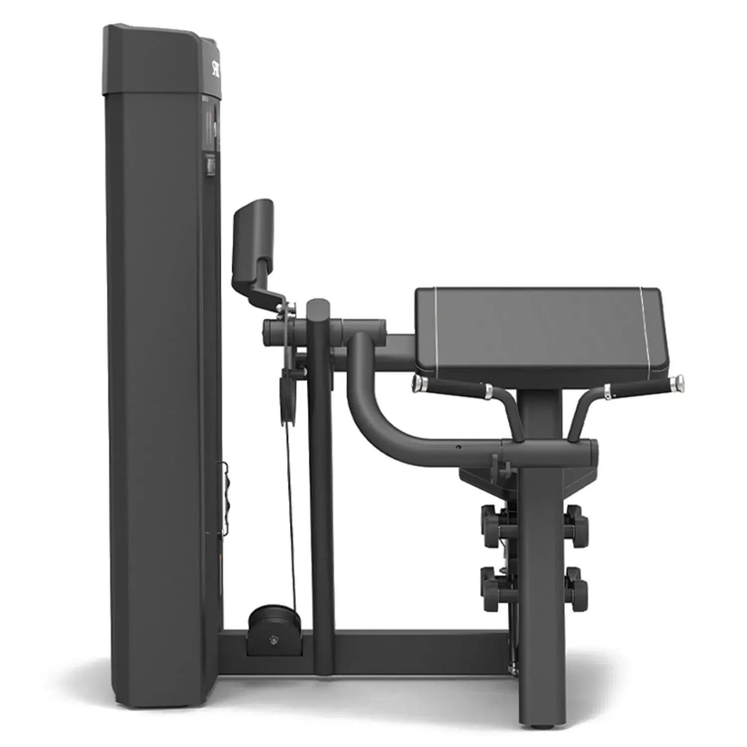 Spirit Fitness Biceps Curl