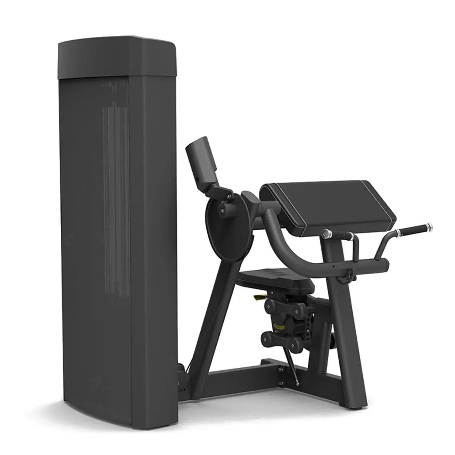 Spirit Fitness Biceps Curl