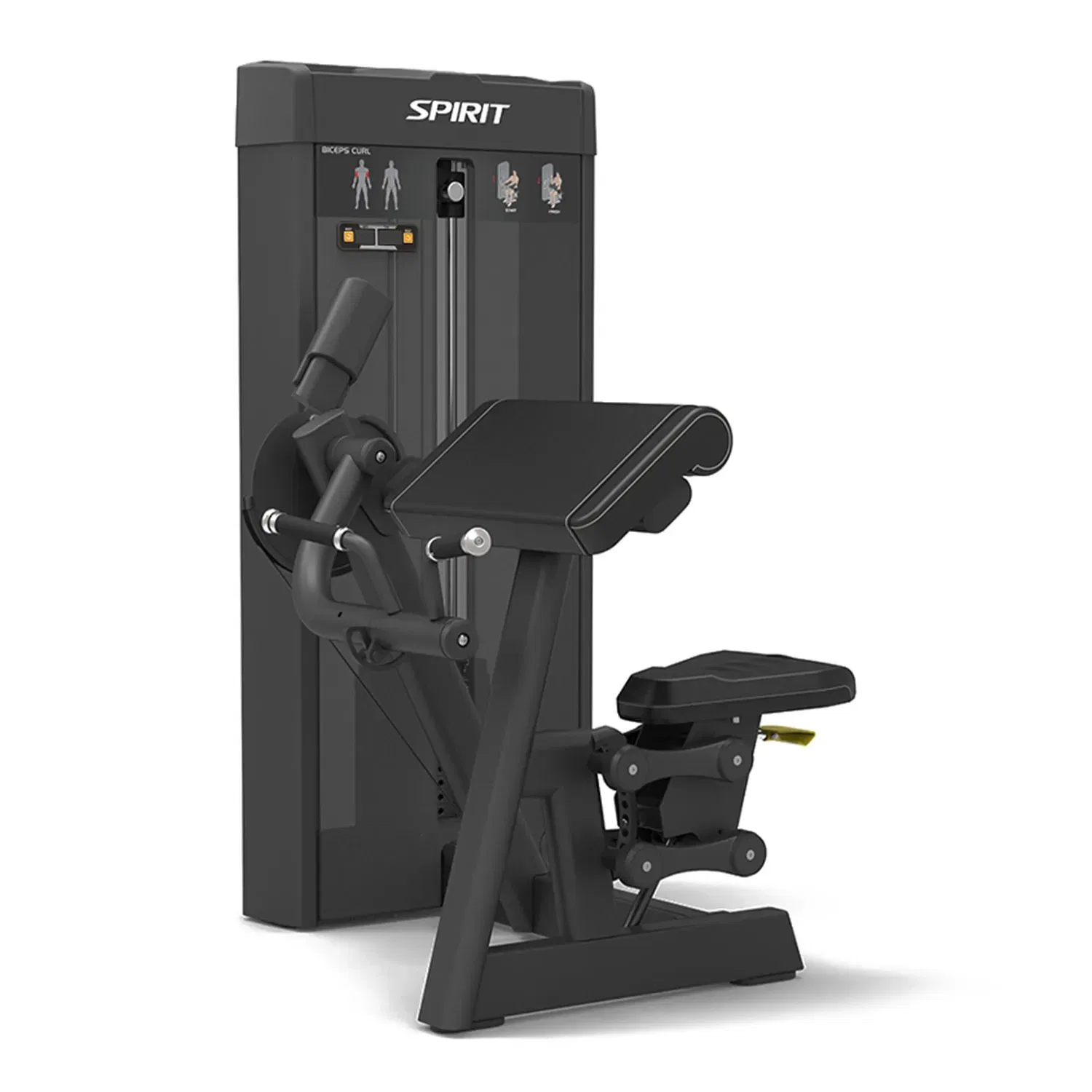 Spirit Fitness Biceps Curl
