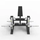 Spirit Fitness Leg Extension