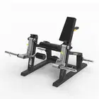 Spirit Fitness Leg Extension