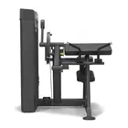 Spirit Fitness Biceps Curl & Triceps Extension – Dual Arm Strength Trainer