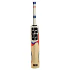 SS T20 Power Kashmir Willow Cricket Bat