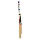 SS T20 Power Kashmir Willow Cricket Bat