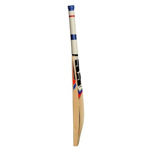 SS T20 Power Kashmir Willow Cricket Bat