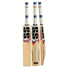 SS T20 Power Kashmir Willow Cricket Bat