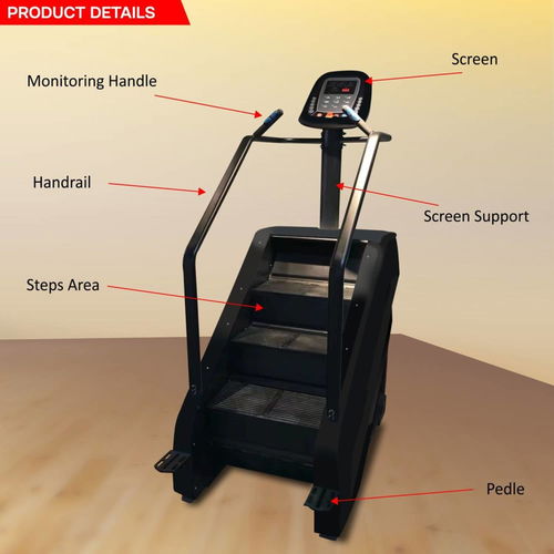 Sparnod Fitness SSM-01 Stair Climber For Home and Commercial Use