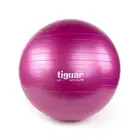 Tiguar Gym Ball Safety Plus - 65 Cm