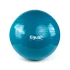 Tiguar Gym Ball Safety Plus - 75 Cm
