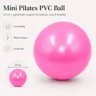Trupada Mini Pilates PVC Ball 25 Cm - Pink