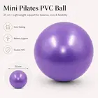 Trupada Mini Pilates PVC Ball 25 Cm - Purple