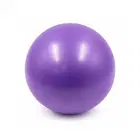 Trupada Mini Pilates PVC Ball 25 Cm - Purple