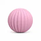 Trupada Silicone Weighted Ball 1.5 KG - Pink