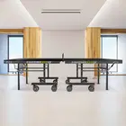 Stag Iconic 3000 DX Table Tennis Table | High-Performance Play