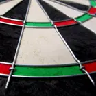 Win.Max Classical Bristle Dartboard
