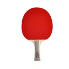 Win.Max Table Tennis Racket - Long Handles - 1 Star