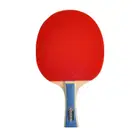 Win.Max Table Tennis Racket - Long Handles - 2 Stars