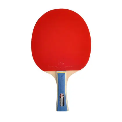 Win.Max Table Tennis Racket - Long Handles - 2 Stars