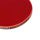 Win.Max Table Tennis Racket - Long Handles - 3 Stars