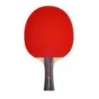 Win.Max Table Tennis Racket - Long Handles - 3 Stars