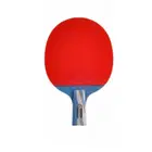 Win.Max Table Tennis Racket - Short Handles - 5 Stars
