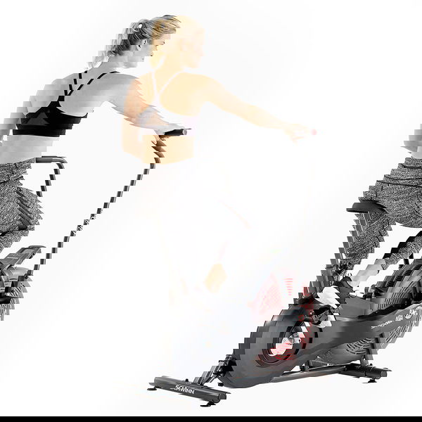 Schwinn Airdyne AD2i Bike