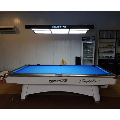 Xingjue 8 x 4ft Professional Billiard Table-White