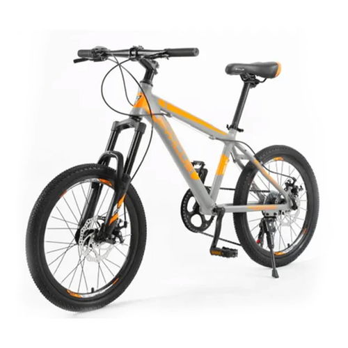 Zyklus Neon 07 20inch Bike-Chalk Grey/Orange