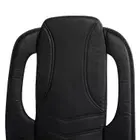 Ares iCozy Cushion Massager With Heat
